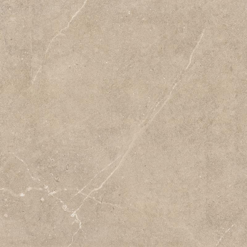 R11 anti-slip porcelain ZF6653R11 ZF6657R11 600x600mm